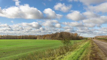 Obraz premium A field of grass with a road running through it