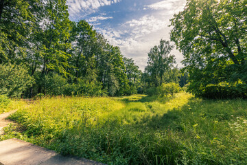 A field of grass with trees in the background