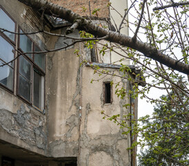 Building with a window and a tree in front of it