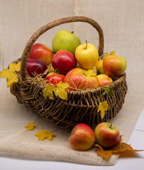 A wooden basket filled with large, rosy apples, with bright autumn leaves scattered around