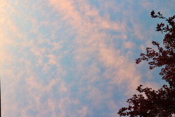 Fototapeta premium Sunset in Autumn in Ottawa, Ontario, Canada