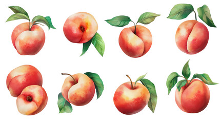 Set Of peaches with leaves isolated on a white background