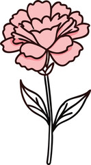 Pink carnation flower with green leaves illustration, Vector illustration of a pink carnation flower with ruffled petals and two green leaves, showcasing a delicate and elegant design.
