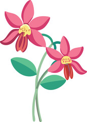 Naklejka premium Columbine flowers with green leaves, Illustration of two vibrant columbine flowers, showcasing a colorful design.