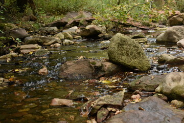 Rocks in the middle of forest creek