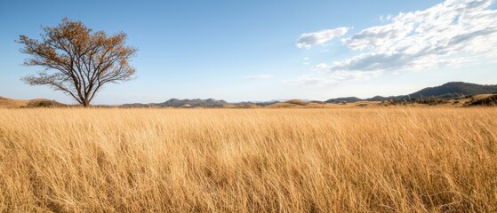 Scenic autumn landscape with lone tree and mountains