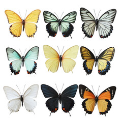 Obraz premium butterflies Isolated On Transparent Background