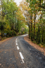 Mountain road surrounded by leafy trees in the colours of autumn, Riaza, Segovia.