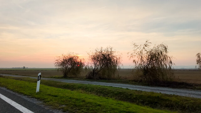 A serene rural landscape with a sunset behind bare trees along a country road, evoking tranquility and introspection