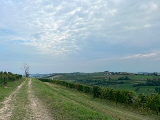 landscape with road