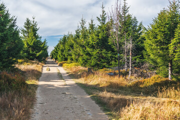 Karkonosze Mountains, Western Sudetes, gravel path on the hiking trail leading to the top of Smrk Mountain. Mountain landscape on a sunny day.