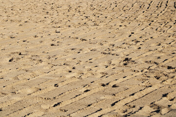 yellow sand beach desert background