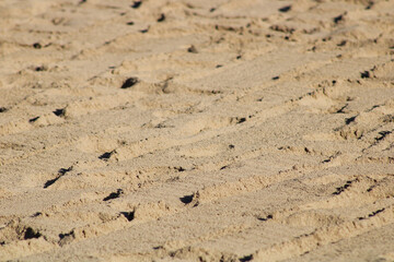 yellow sand beach desert background