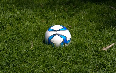 Fototapeta premium white and blue patterned soccer ball in grass