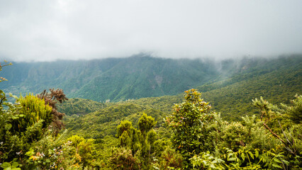 Zapierające dech widoki na wyspie Madeira © Mateusz