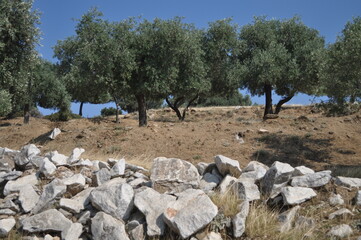 Rajskie widoki na greckiej wyspie Thassos  © Mateusz