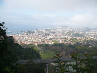 Wspaniała przyroda na portugalskiej wyspie Madera  © Mateusz