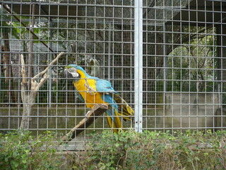 Wspaniała przyroda na portugalskiej wyspie Madera  © Mateusz