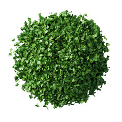 Chopped Green Onion Isolated On Transparent Background