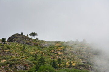 Wspaniała przyroda na portugalskiej wyspie Madera  © Mateusz