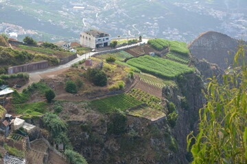 Wspaniała przyroda na portugalskiej wyspie Madera  © Mateusz