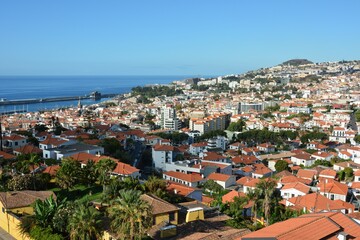 Wspaniała przyroda na portugalskiej wyspie Madera  © Mateusz