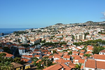 Wspaniała przyroda na portugalskiej wyspie Madera  © Mateusz