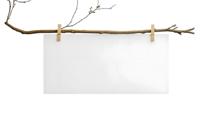 White paper sheet on a wooden stick on a transparent background. isolated background.