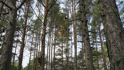 Lighthouse in the forest by the sea
