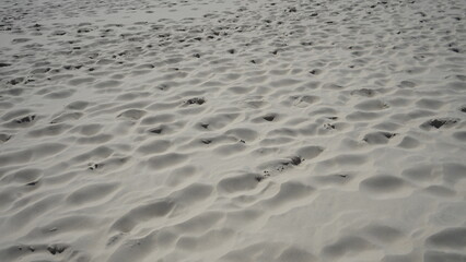 Moving dunes by the sea in Poland
