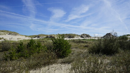 Moving dunes by the sea in Poland
