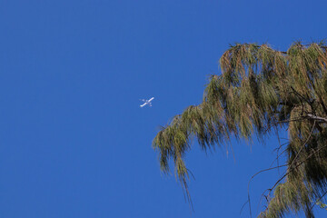 A white plane flies in a clear blue sky.