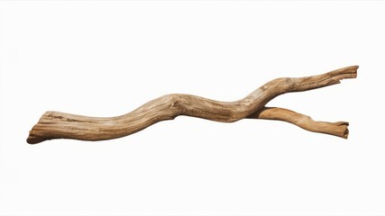 Obraz premium Twisted Branch: A weathered, gnarled branch, showcasing the raw beauty of nature's artistry. Perfect for rustic decor, nature photography, or adding a touch of the wild to your design.