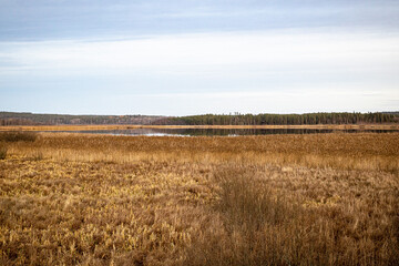 Obraz premium small lake