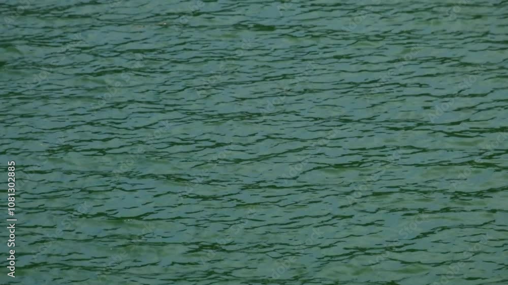 Poster the surface of the lake water is moving slowly.. create a calm and peaceful atmosphere. small ripple