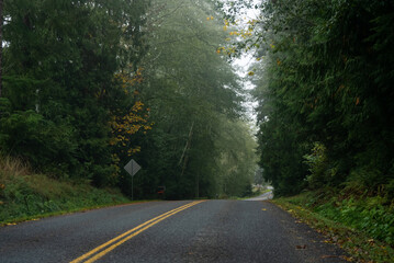 The road in the fog