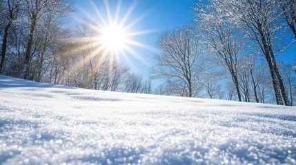 Fototapeta premium Bright winter landscape with snow and sun rays.