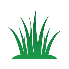 green grass on a withe background 