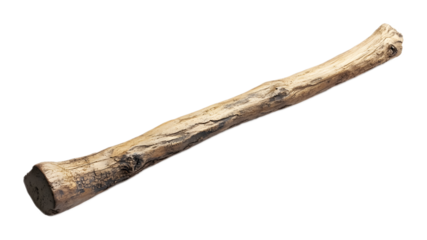 Wooden stick on a transparent background. isolated background.