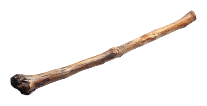 Wooden stick on a transparent background. isolated background.
