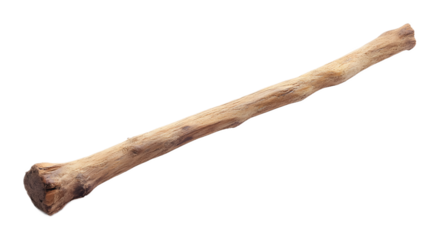 Wooden stick on a transparent background. isolated background.