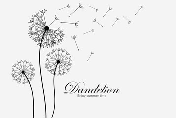 Vector illustration dandelion seed blowing in the wind.
