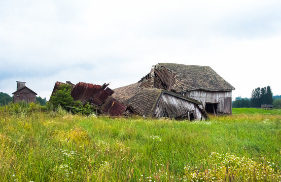 Collapsed barn on the field in Finland, summer, 2023