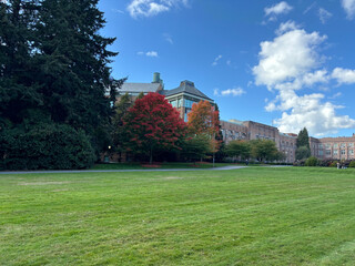Fall season at the Washington University in Seattle.