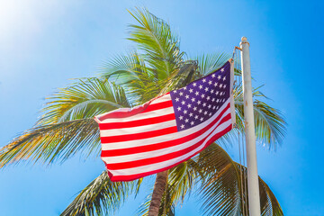 Flag of the United States of America with a palm tree in the background and a ray of sunlight
