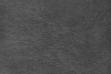 Structure of genuine leather surface with slightly grainy texture macro, close up. Smooth shiny gray leatherette, upholstery material, luxury background, backdrop, wallpaper