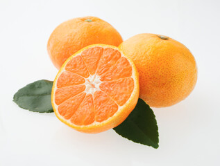 みかん　スタジオ撮影