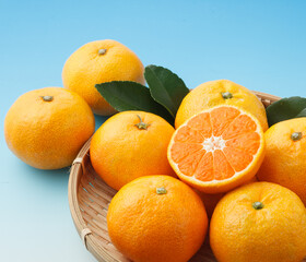 みかん　スタジオ撮影