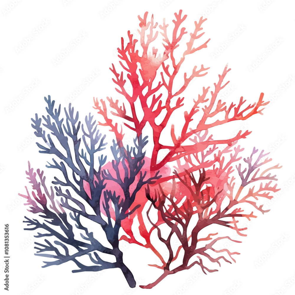 Canvas Prints A watercolor vector of fan coral, isolated on a white background. Fan coral vector.