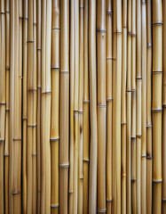 Naklejka premium Bamboo stalk arrangement natural environment close-up photography serene background abstract concept of growth and sustainability